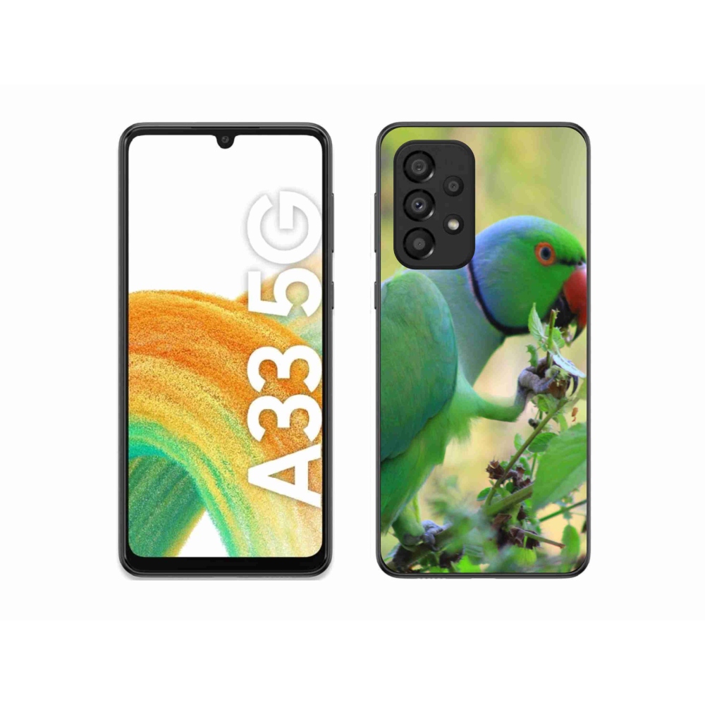 Gél borítás mmCase Samsung Galaxy A33 készülékhez - papagáj alexandr