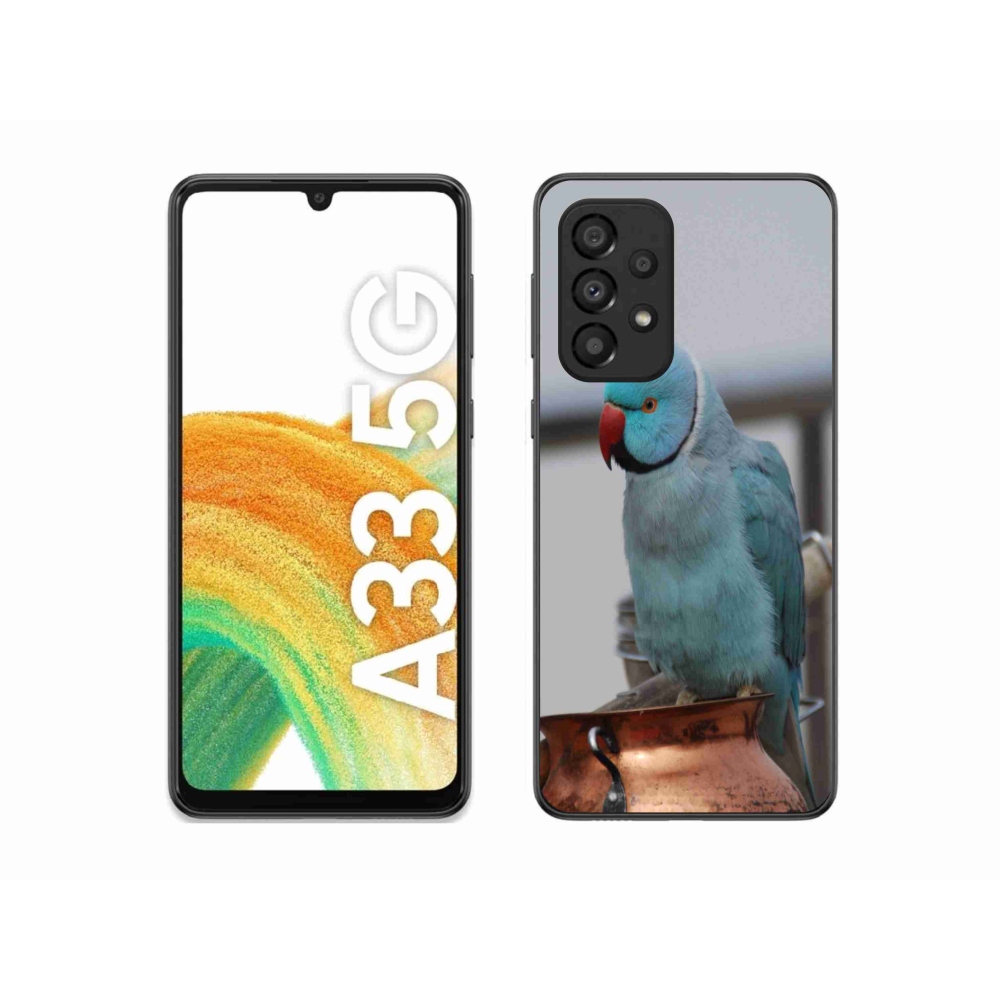 Zselés borítás mmCase Samsung Galaxy A33 készülékhez - papagáj alexander kék