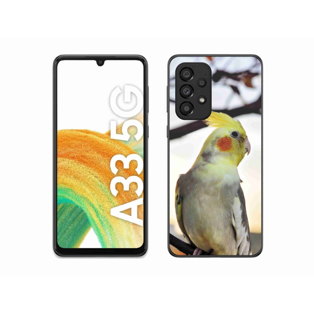 Gél borítás mmCase Samsung Galaxy A33 készülékhez - papagáj korela