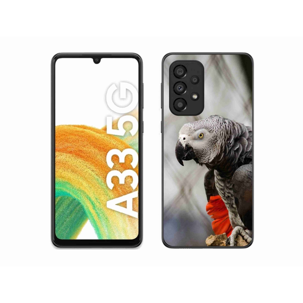 Zselés borítás mmCase Samsung Galaxy A33 - papagáj jacko 3