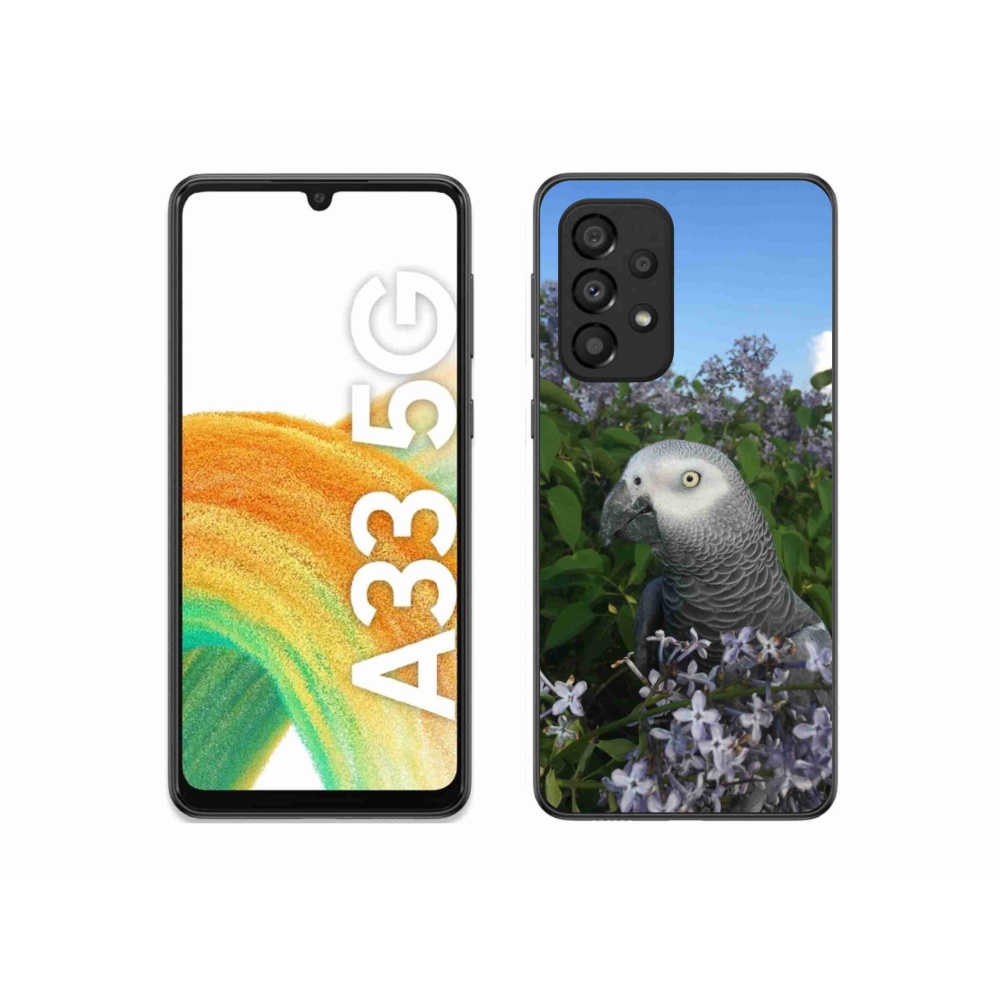Gél borítás mmCase Samsung Galaxy A33 készülékhez - papagáj jacco