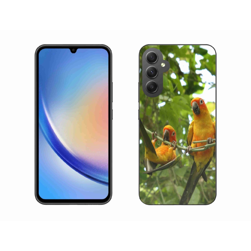 Gél borítás mmCase Samsung Galaxy A34 5G - papagájok aratingy