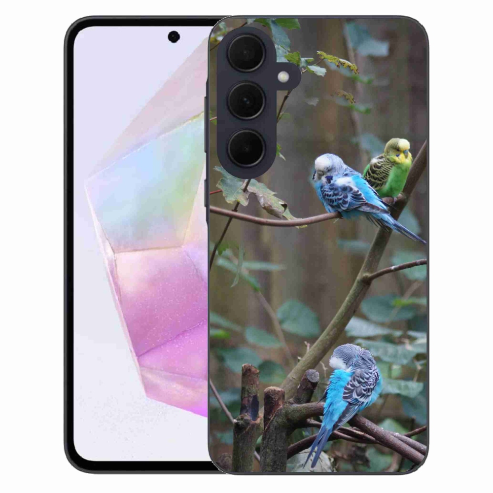 Zselés borító mmCase Samsung Galaxy A35 5G - papagájok az ágon