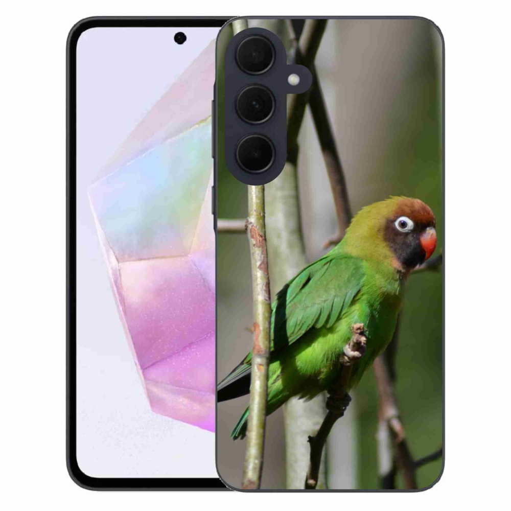 Gél borítás mmCase Samsung Galaxy A35 5G - papagáj agapornis