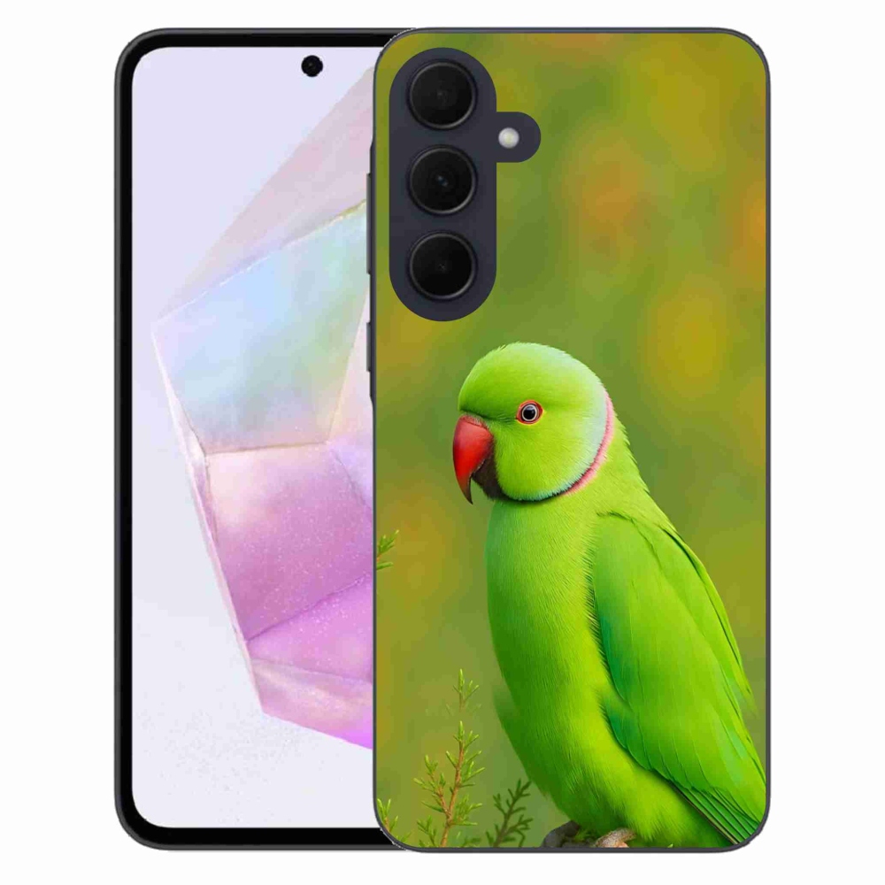 Zselés borítás mmCase Samsung Galaxy A35 5G - papagáj alexandr 2