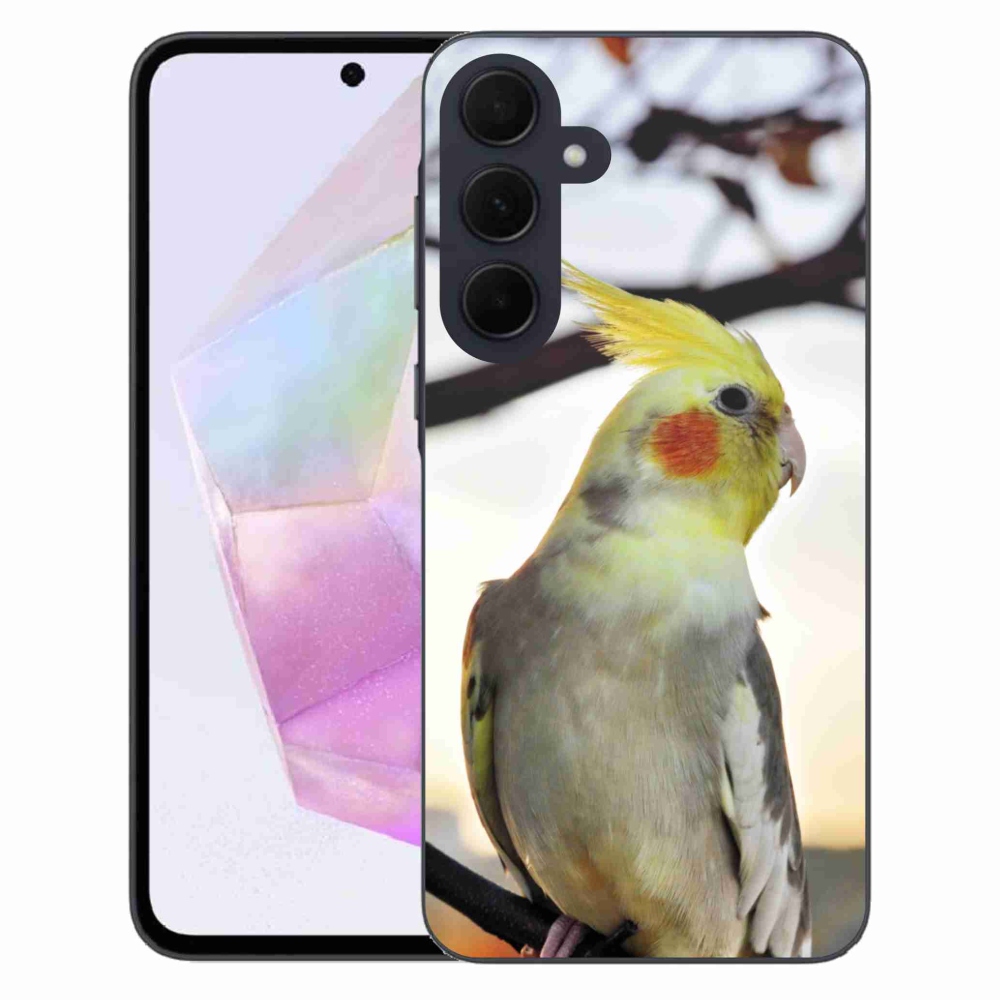 Gél borító mmCase Samsung Galaxy A35 5G - papagáj korela