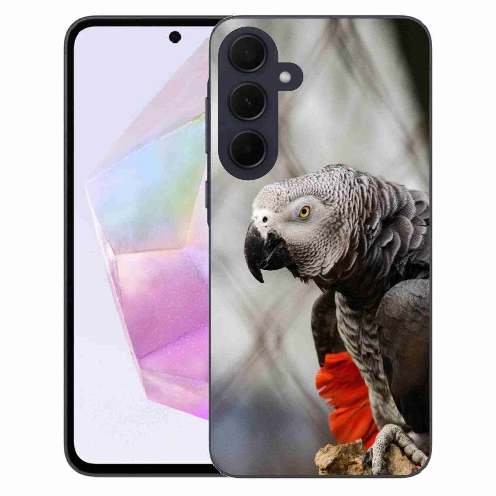 Gél borítás mmCase Samsung Galaxy A35 5G - papagáj jacco 3