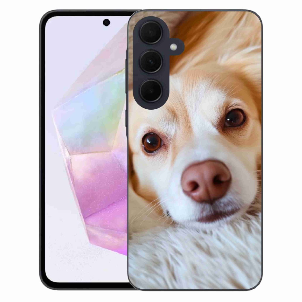 Gél védőhuzat mmCase Samsung Galaxy A35 5G - Aranyos csivava