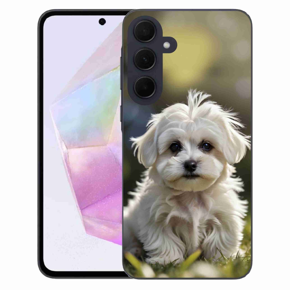 Gél borítás mmCase Samsung Galaxy A35 5G - aranyos máltai kutya