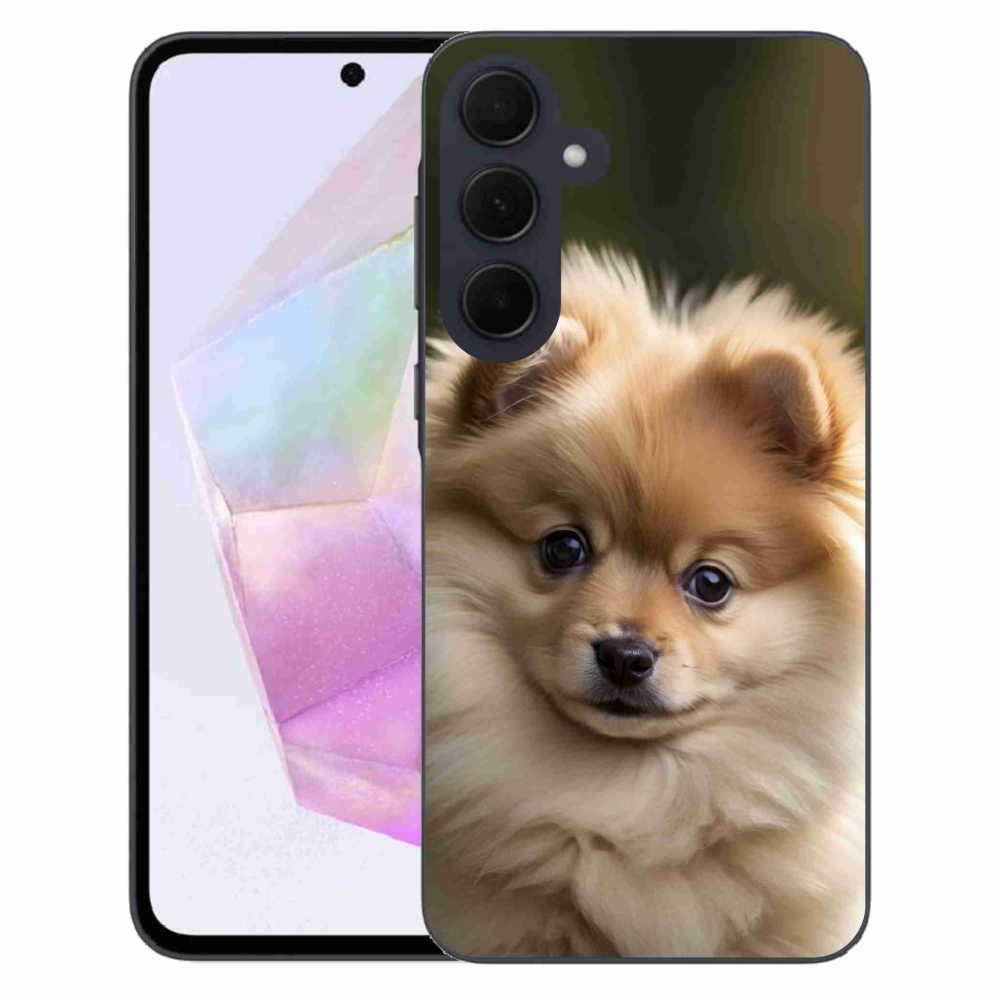 Gél borítás mmCase Samsung Galaxy A35 5G - aranyos pomerániai 2