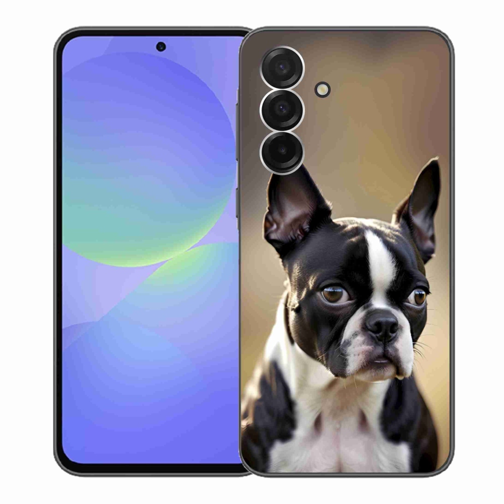 Gél borítás mmCase Samsung Galaxy A36 5G - Boston Terrier