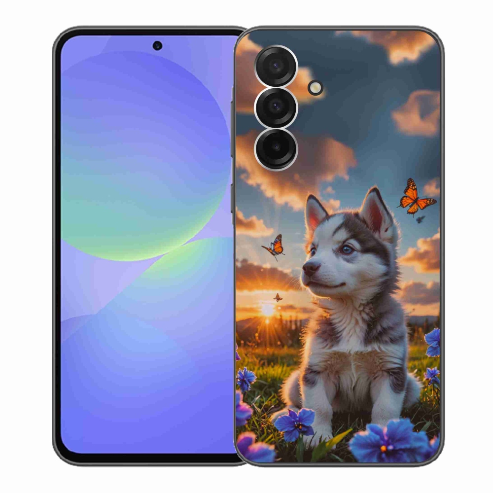 Gél borítás mmCase Samsung Galaxy A36 5G - husky a naplementében