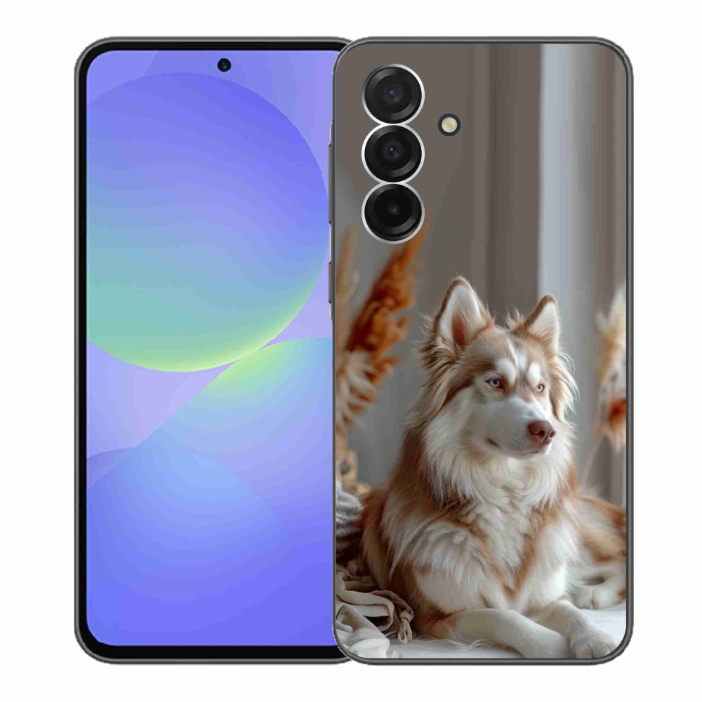 Zselés borítás mmCase Samsung Galaxy A36 5G - csendes szibériai husky