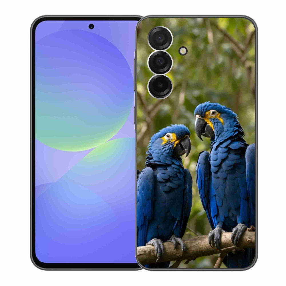 Zselés borítás mmCase Samsung Galaxy A36 5G - papagáj duóhoz