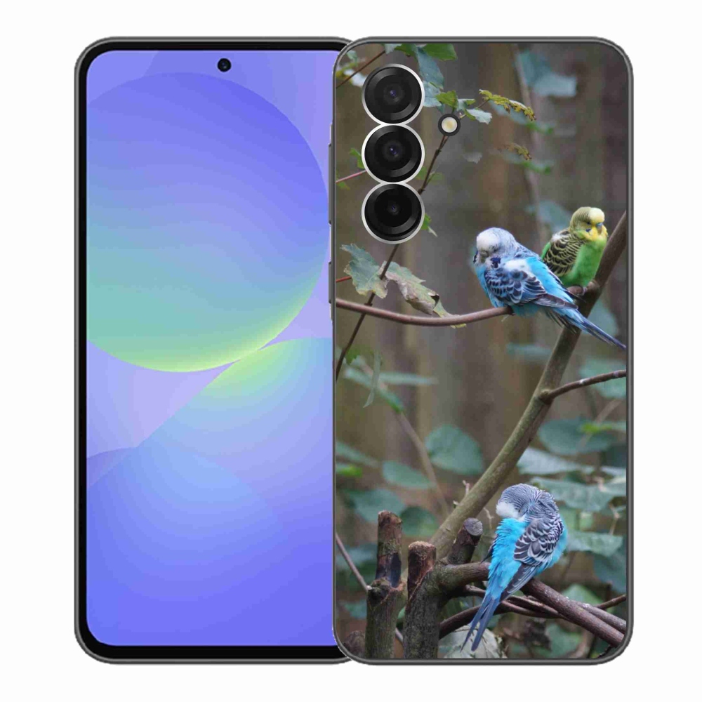 Zselés borító mmCase Samsung Galaxy A36 5G - papagájok az ágon