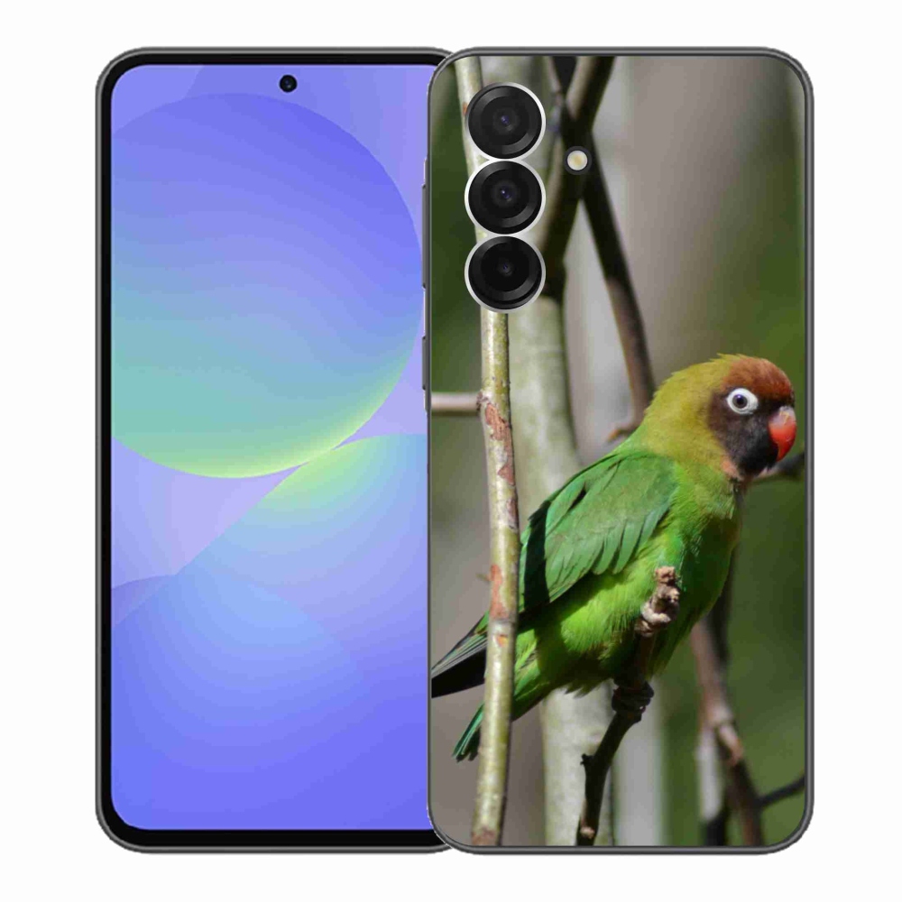 Gél borítás mmCase Samsung Galaxy A36 5G - papagáj agapornis