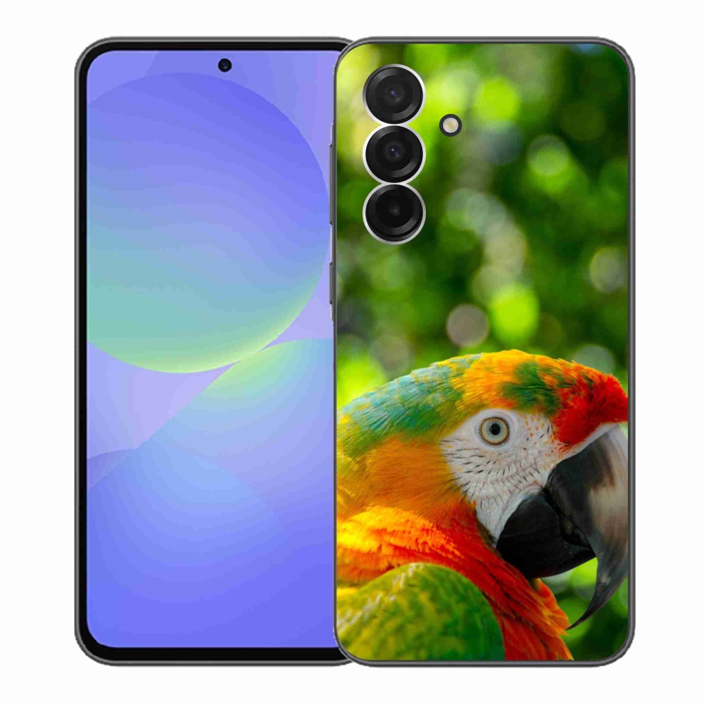 Gél borítás mmCase Samsung Galaxy A36 5G - papagáj ara 3