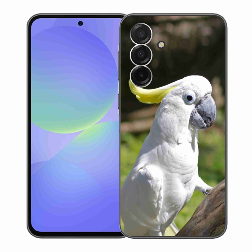 Gél borítás mmCase Samsung Galaxy A36 5G - papagáj kakadu 2