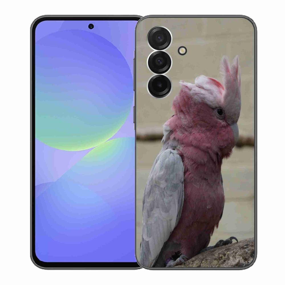 Gél védőhuzat mmCase Samsung Galaxy A36 5G - papagáj kakadu rózsaszínű