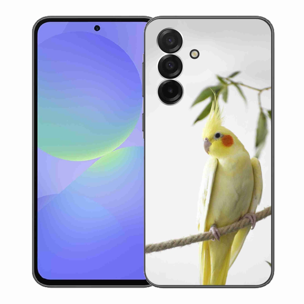 Gél borítás mmCase Samsung Galaxy A36 5G - papagáj korela chocholatá