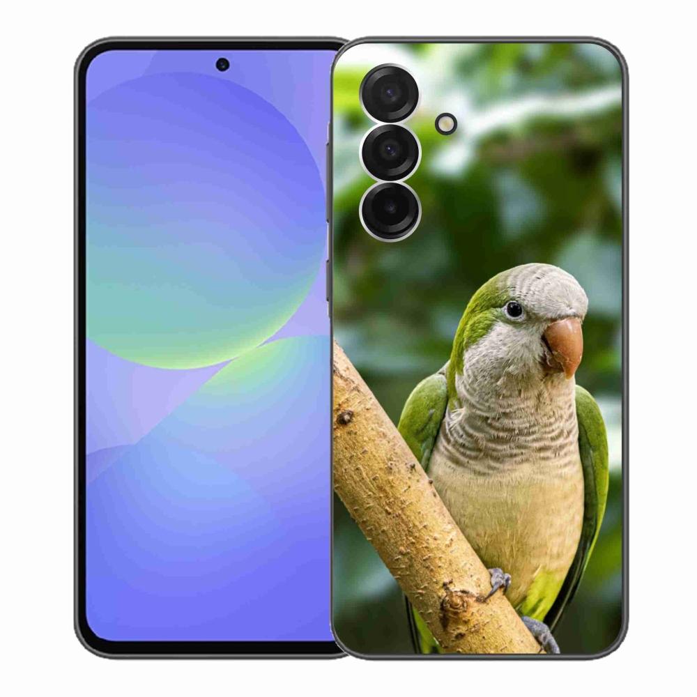 Zselés borítás mmCase Samsung Galaxy A36 5G - papagáj