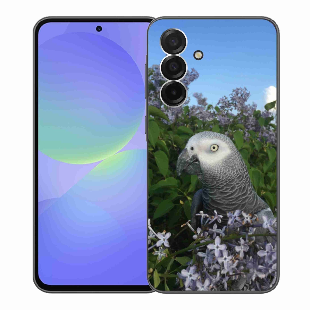 Zselés borítás mmCase Samsung Galaxy A36 5G - papagáj jacco