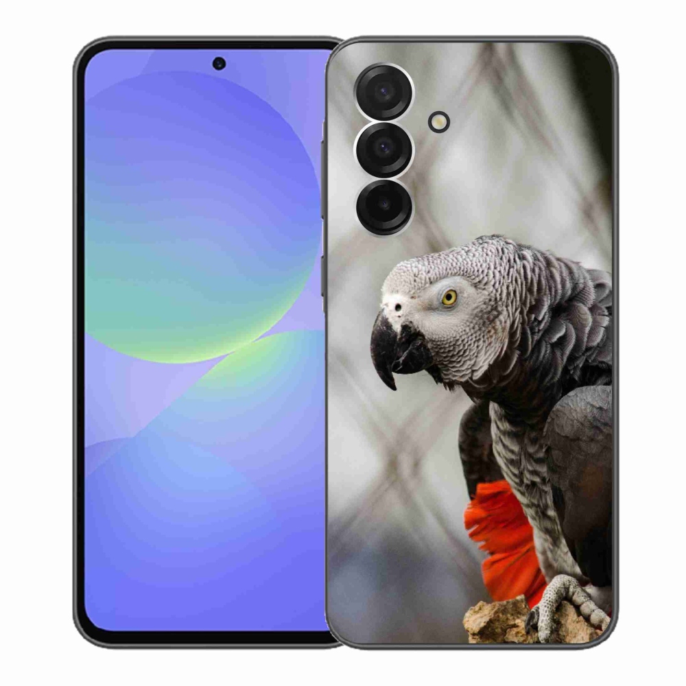 Gél borítás mmCase Samsung Galaxy A36 5G - papagáj jacco 3