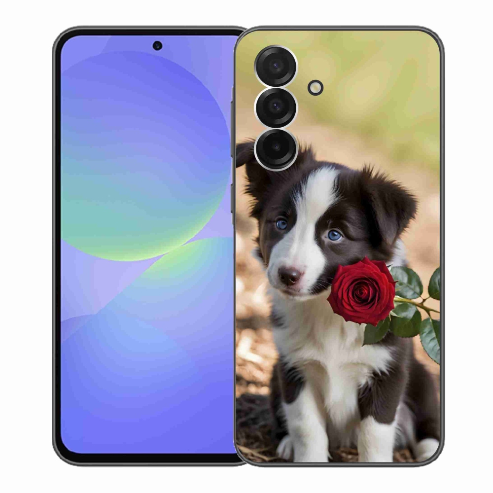 Gél borítás mmCase Samsung Galaxy A36 5G - aranyos border collie rózsával