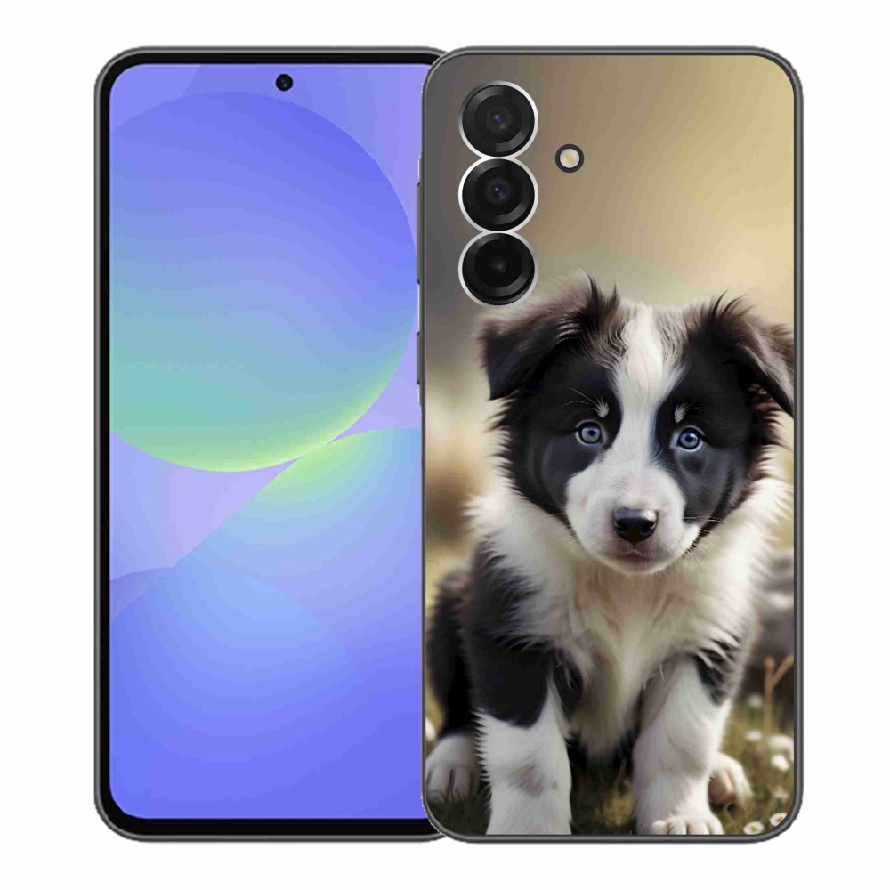 Gél borító mmCase Samsung Galaxy A36 5G - aranyos border collie - Samsung Galaxy A36 5G számára