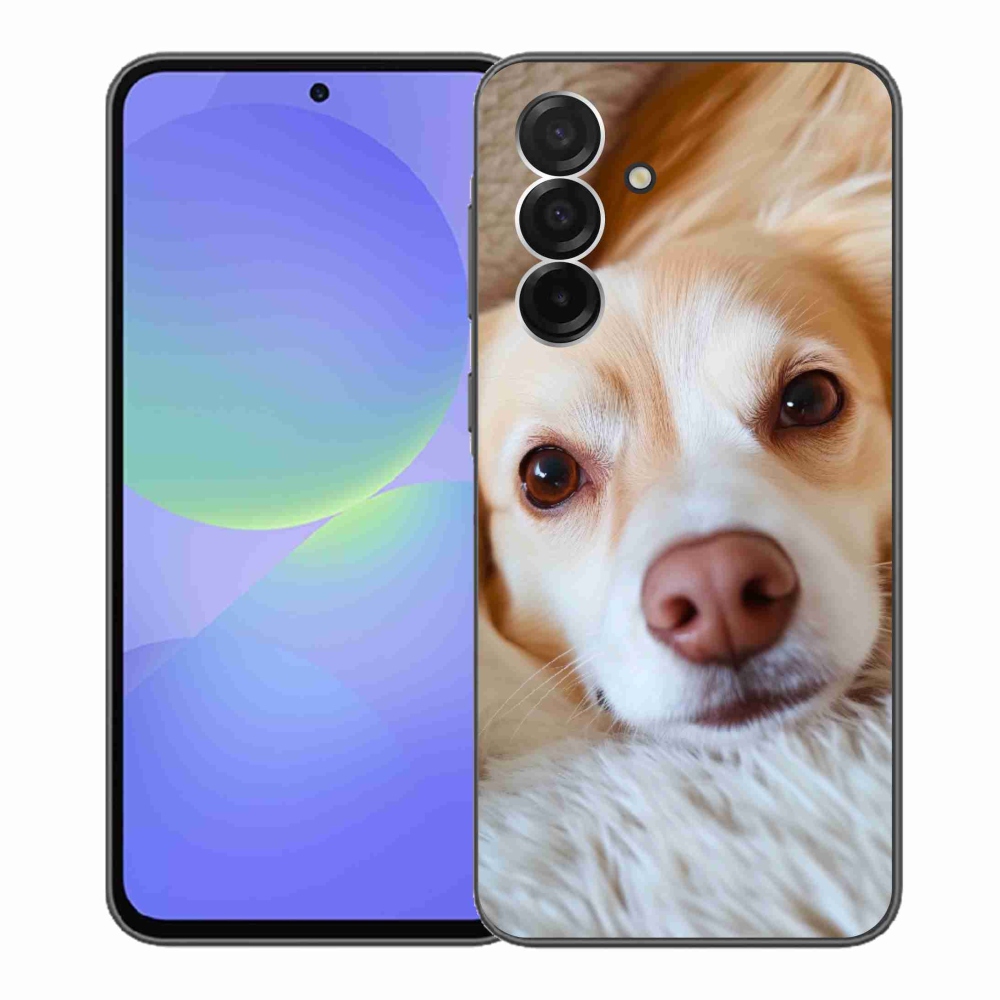 Gél védőhuzat mmCase Samsung Galaxy A36 5G - Aranyos csivava