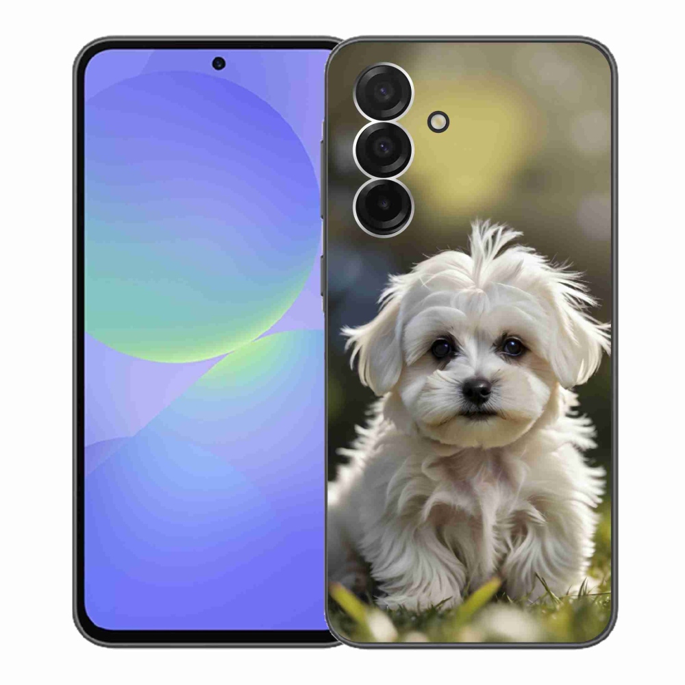 Gél borítás mmCase Samsung Galaxy A36 5G - aranyos máltai kutya