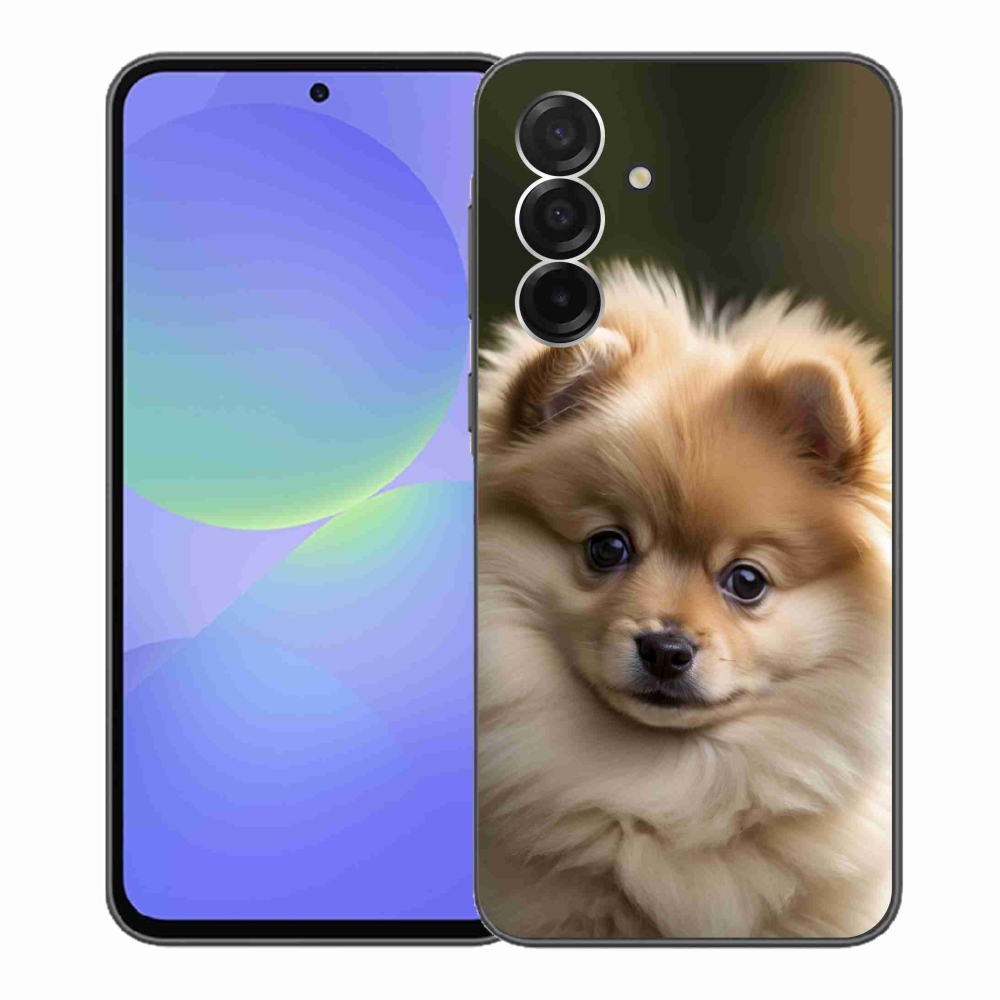 Gél borító mmCase Samsung Galaxy A36 5G - aranyos pomerániai 2