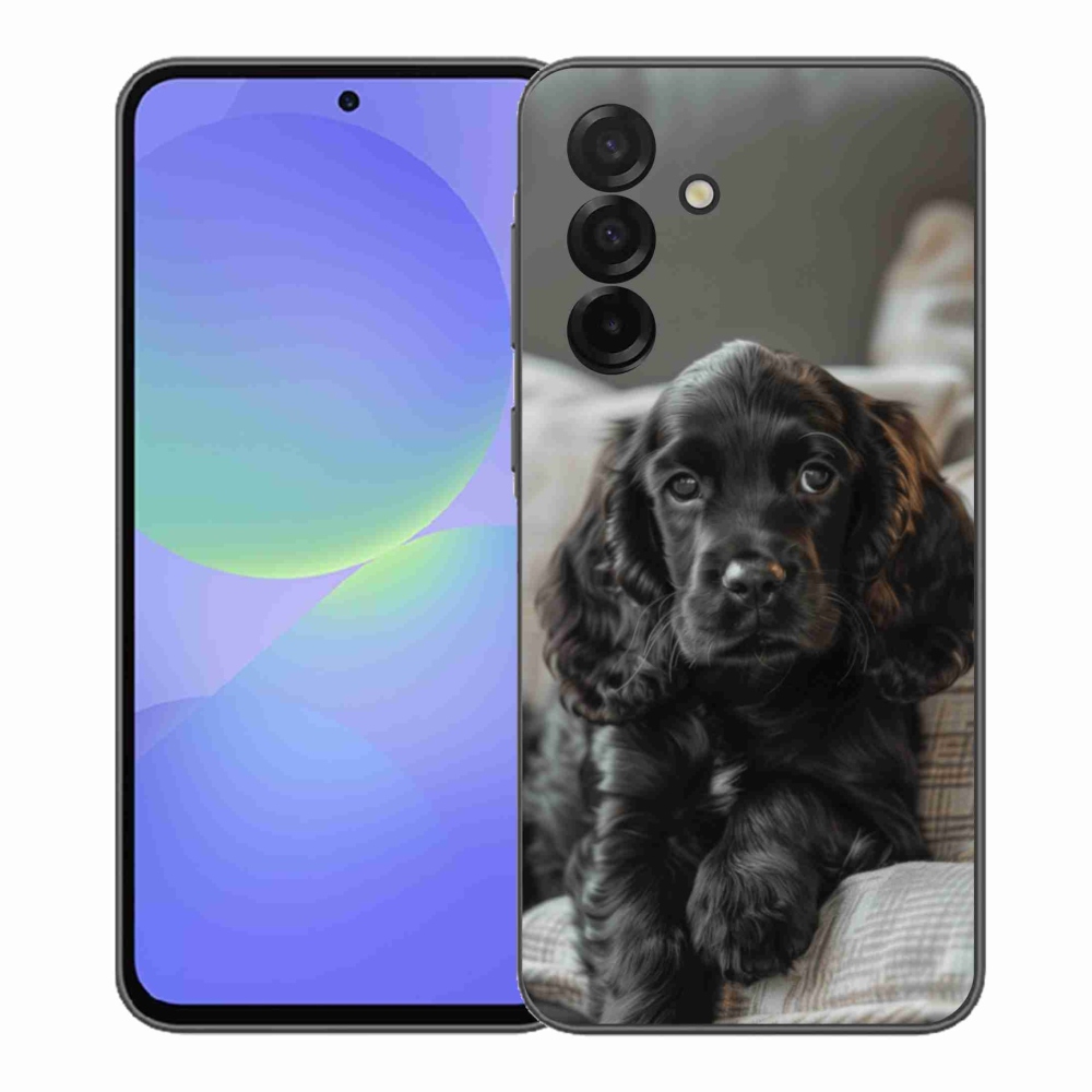 Gél borítás mmCase Samsung Galaxy A37 5G - angol cocker spánielhez