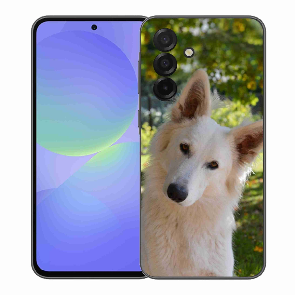 Gél védőhuzat mmCase Samsung Galaxy A37 5G - fehér svájci juhász 1