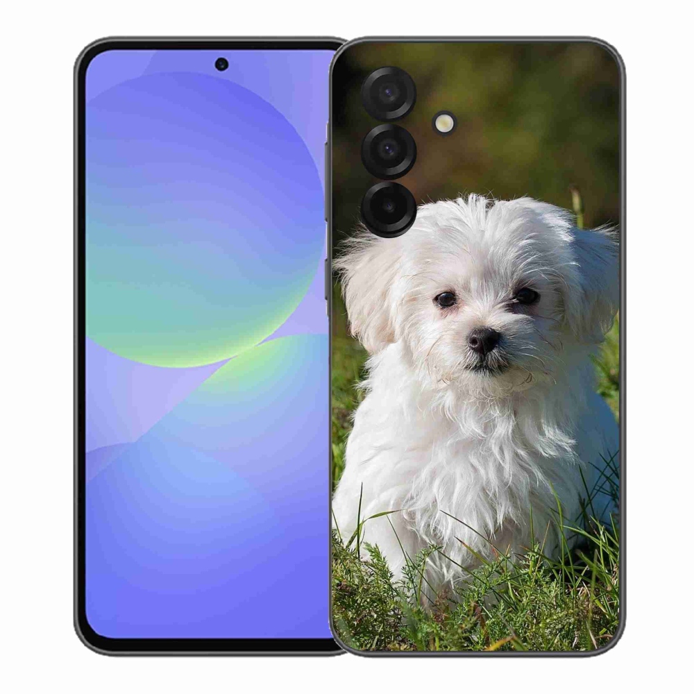 Gél borítás mmCase Samsung Galaxy A37 5G - bichon