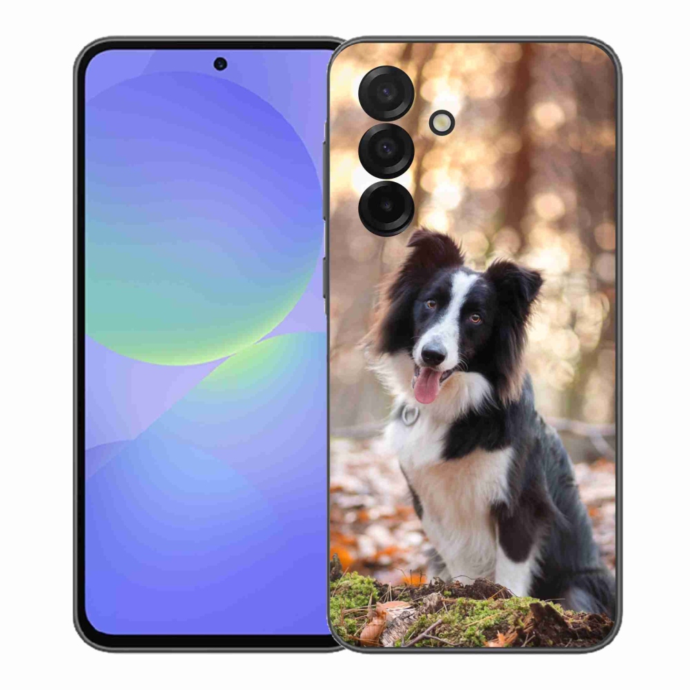 Gél borító mmCase Samsung Galaxy A37 5G - border colie 1