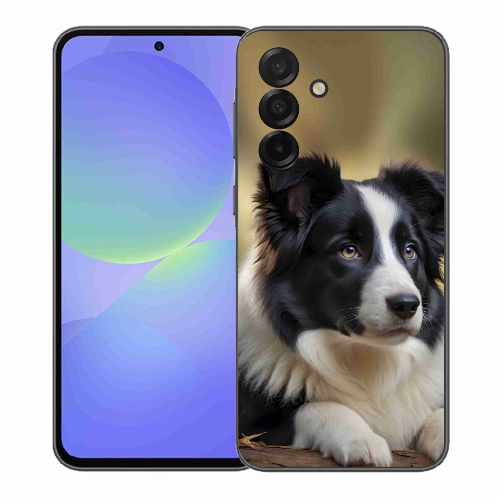 Gél borítás mmCase Samsung Galaxy A37 5G - border colie 2