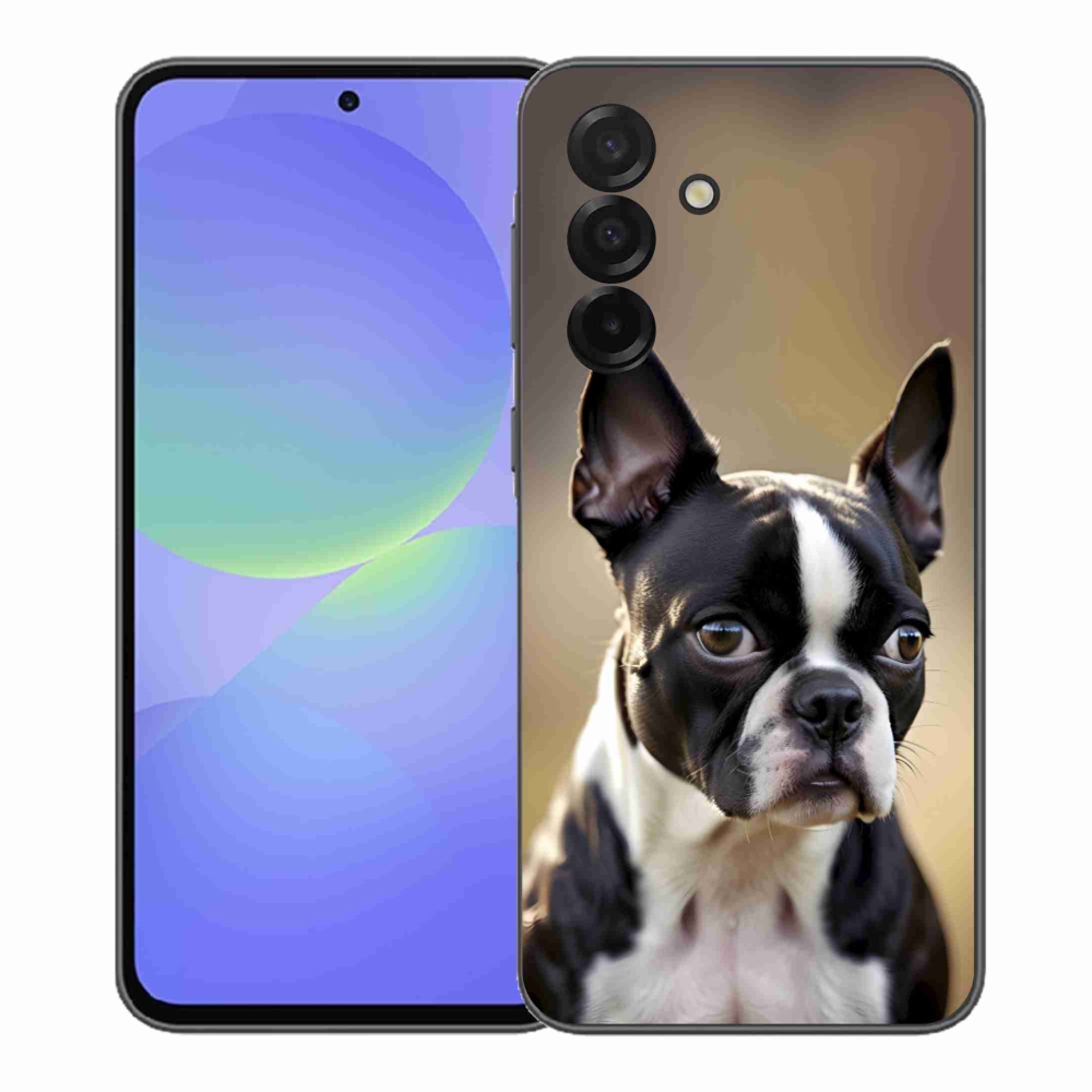 Gél borítás mmCase Samsung Galaxy A37 5G - Boston Terrier