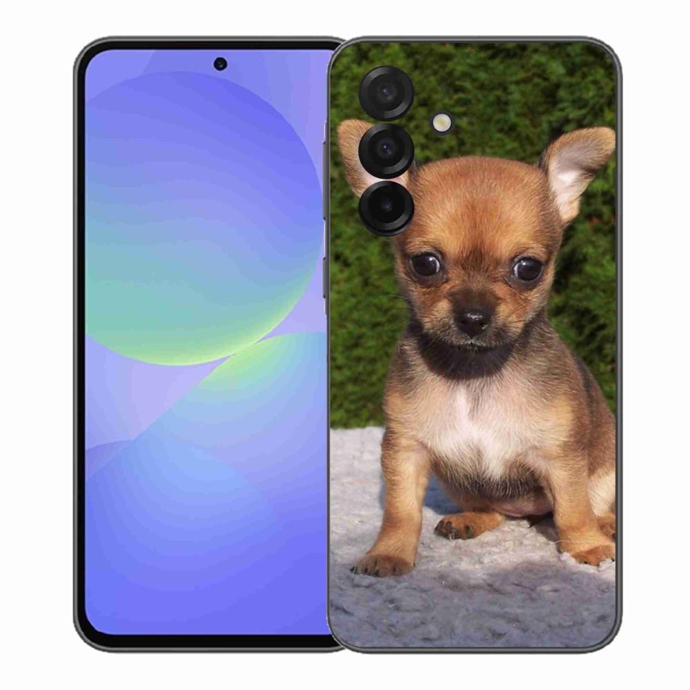 Gél borítás mmCase Samsung Galaxy A37 5G - chihuahua 3