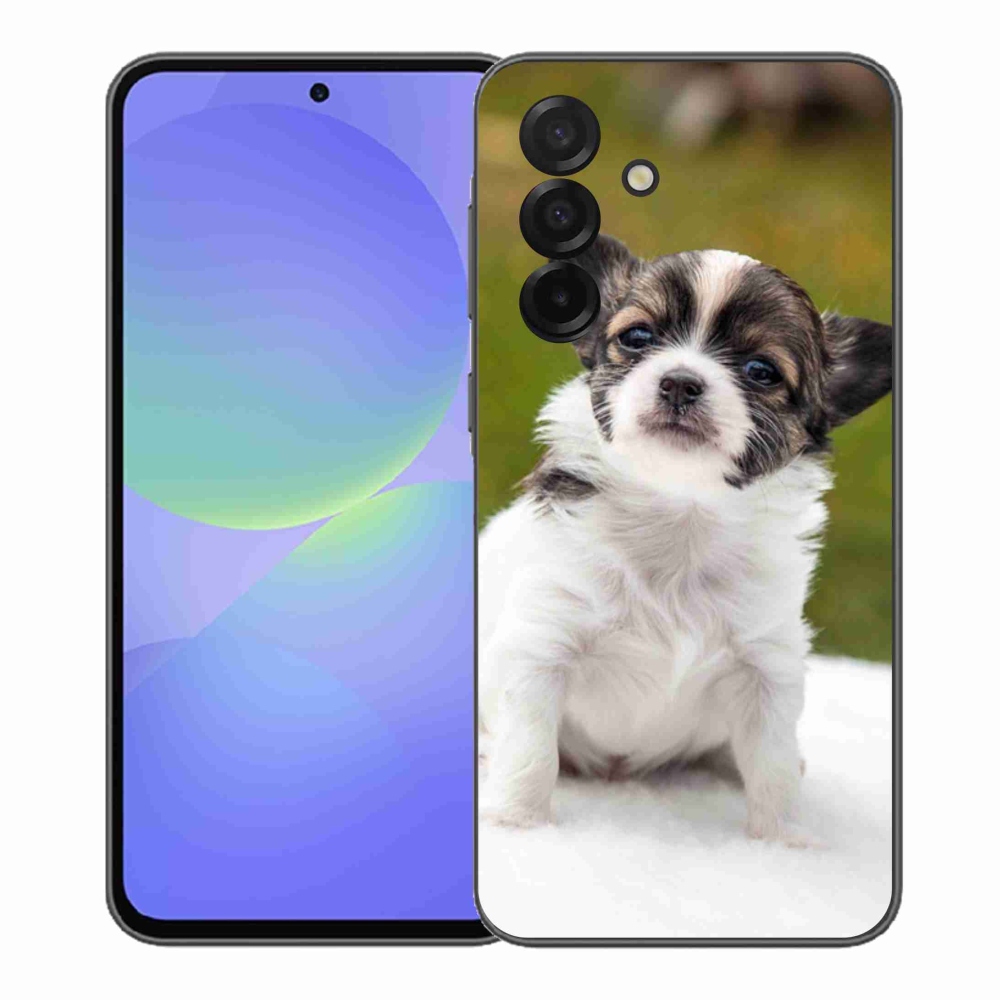 Gél borítás mmCase Samsung Galaxy A37 5G - chihuahua 4