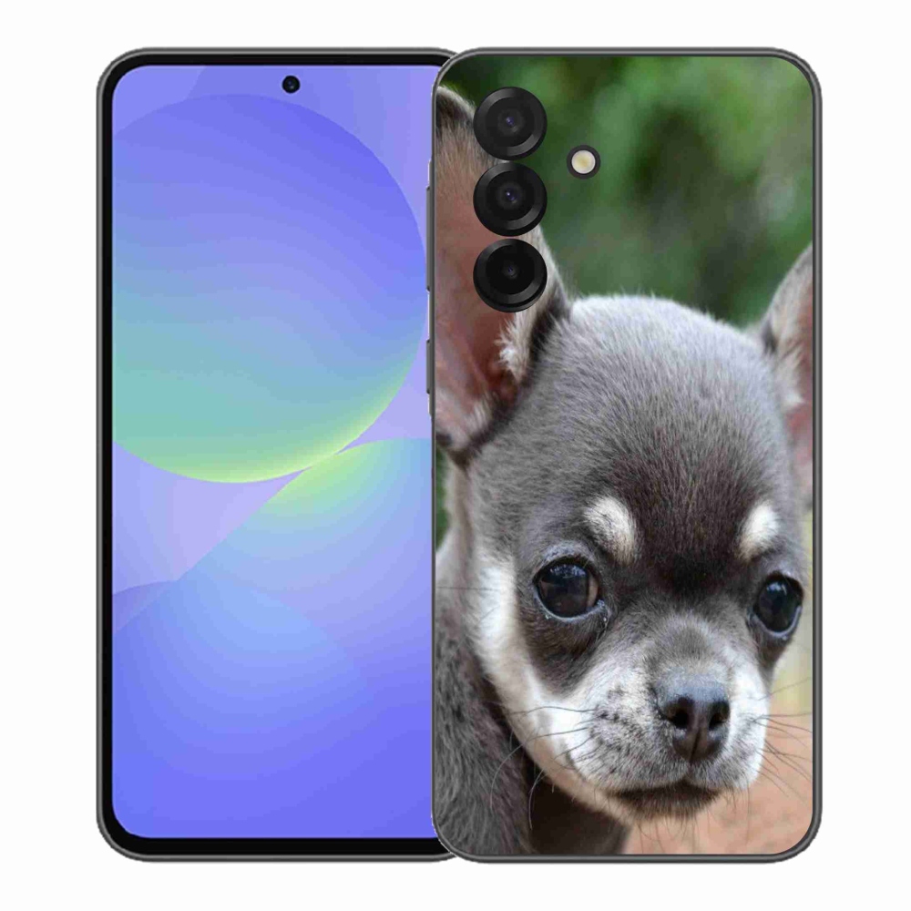 Gél borítás mmCase Samsung Galaxy A37 5G - chihuahua - Samsung Galaxy A37 5G - chihuahua