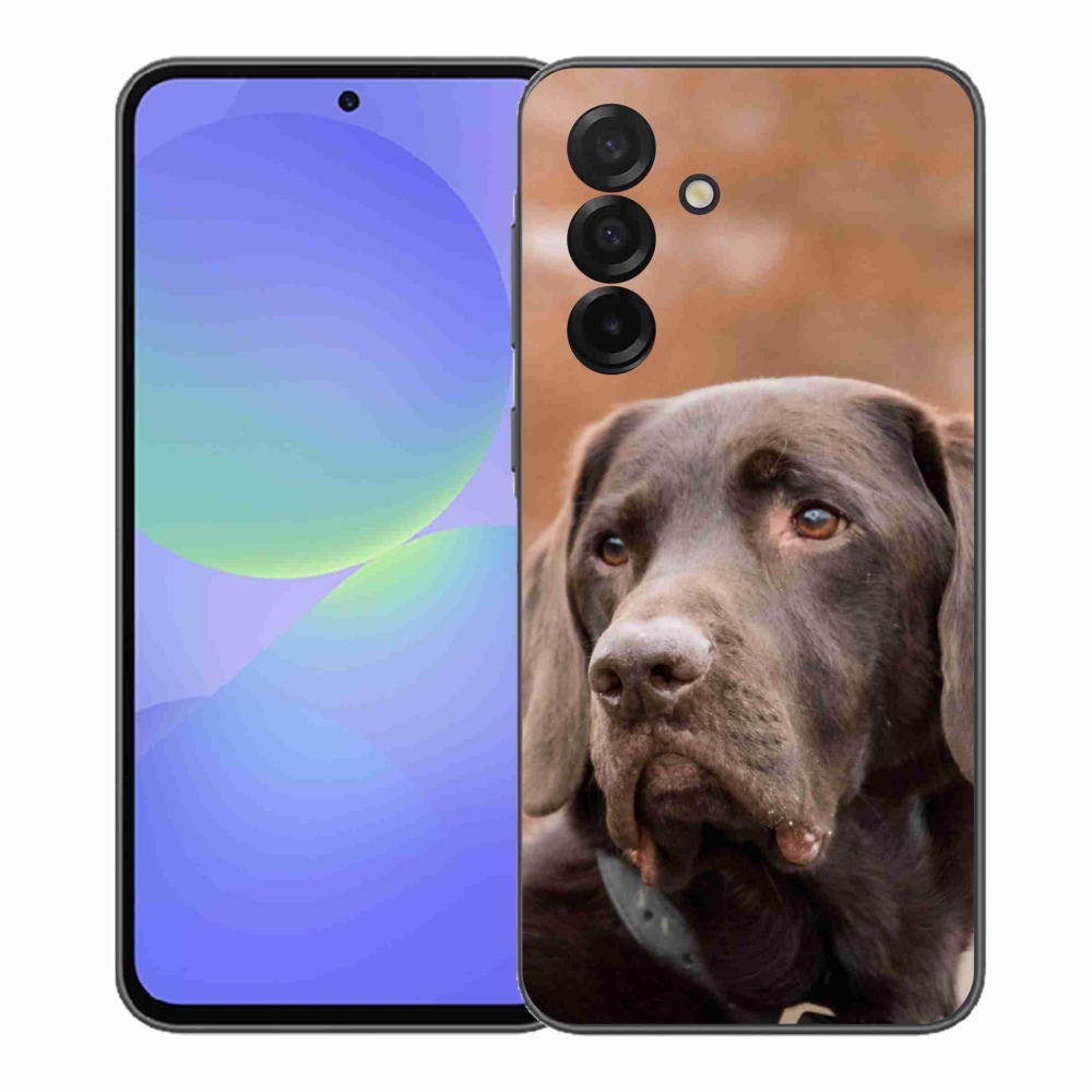 Gél védőhuzat mmCase Samsung Galaxy A37 5G - barna labrador