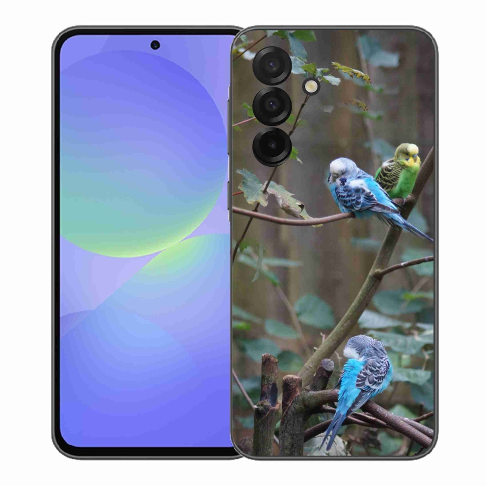 Zselés borító mmCase Samsung Galaxy A37 5G - papagájok az ágon