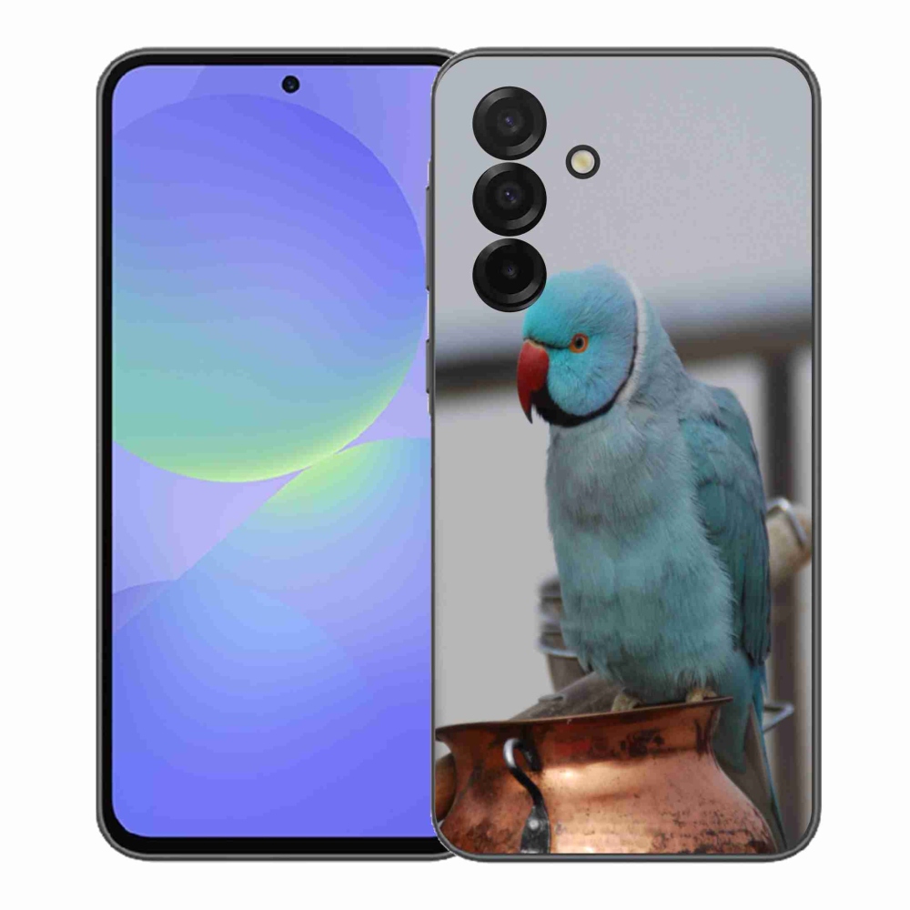 Zselés borítás mmCase Samsung Galaxy A37 5G - papagáj alexander kék