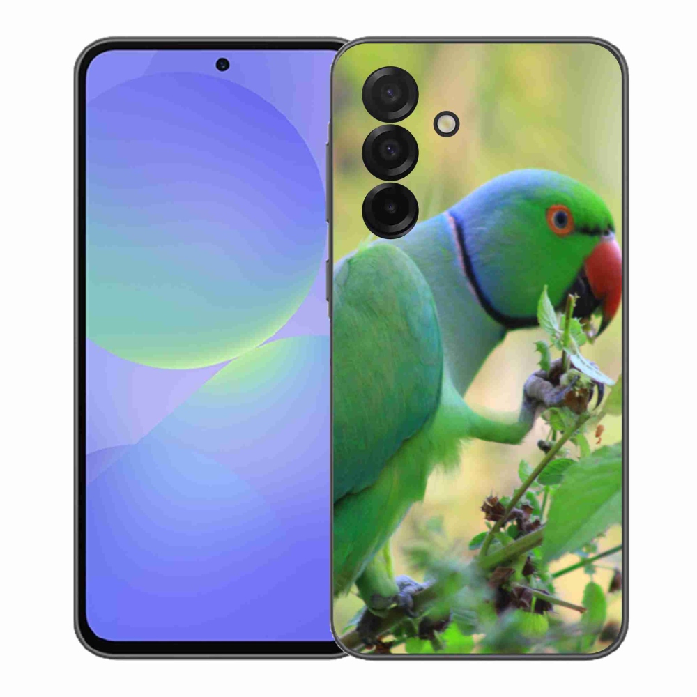 Gél borítás mmCase Samsung Galaxy A37 5G - papagáj alexandr