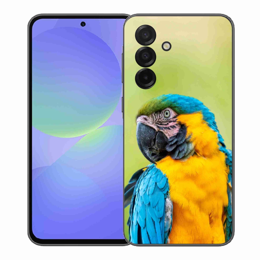 Gél borítás mmCase Samsung Galaxy A37 5G - papagáj ara 2