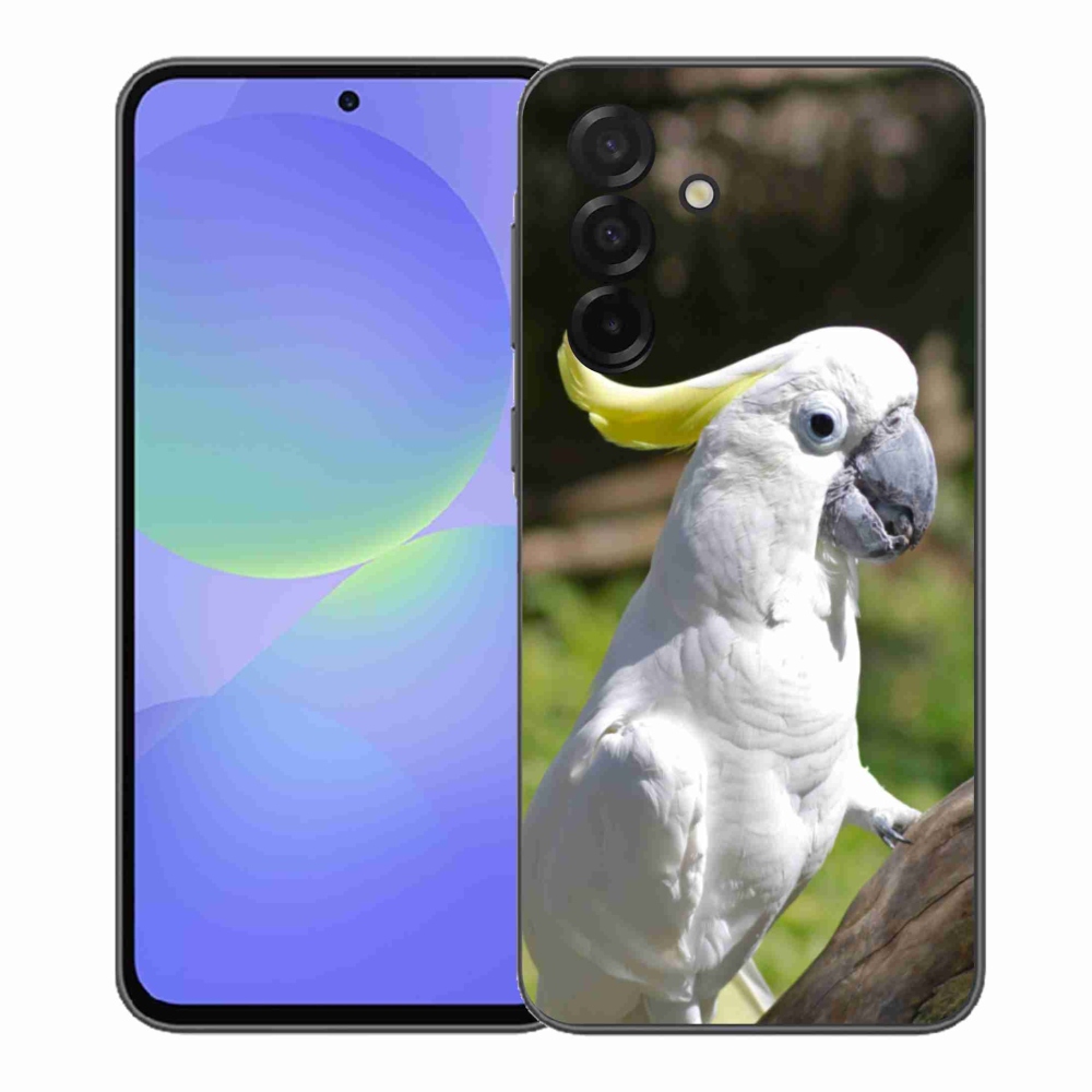 Gél borítás mmCase Samsung Galaxy A37 5G - papagáj kakadu 2