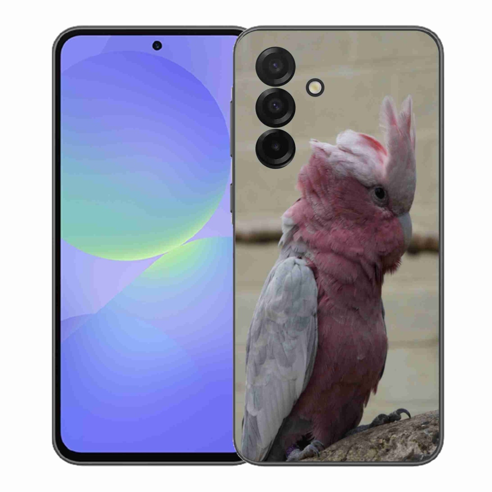 Gél védőhuzat mmCase Samsung Galaxy A37 5G - papagáj kakadu rózsaszínű