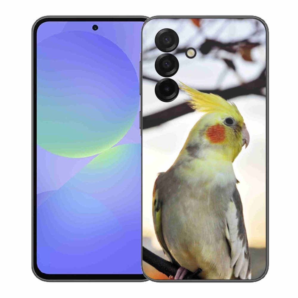 Gél borítás mmCase Samsung Galaxy A37 5G - papagáj korela