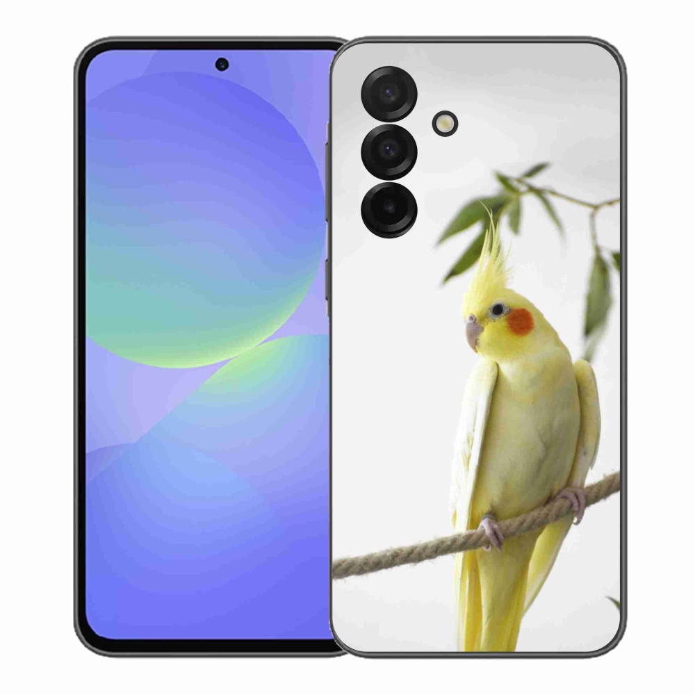Gél borító mmCase Samsung Galaxy A37 5G - papagáj korela chocholatá